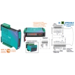 Digital - Analog weight transmitter